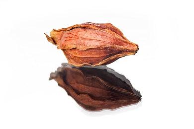 《冷漠 鸣神学园的七大不可思议》 将于下周推出体验版